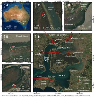 Coastal Wetland Surface Elevation Change Is Dynamically Related to Accommodation Space and Influenced by Sedimentation and Sea-Level Rise Over Decadal Timescales